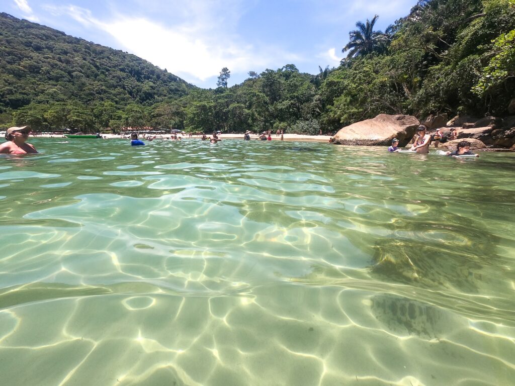 Banhistas no mar calmo de uma praia cercada por mata atlântica em Ubatuba