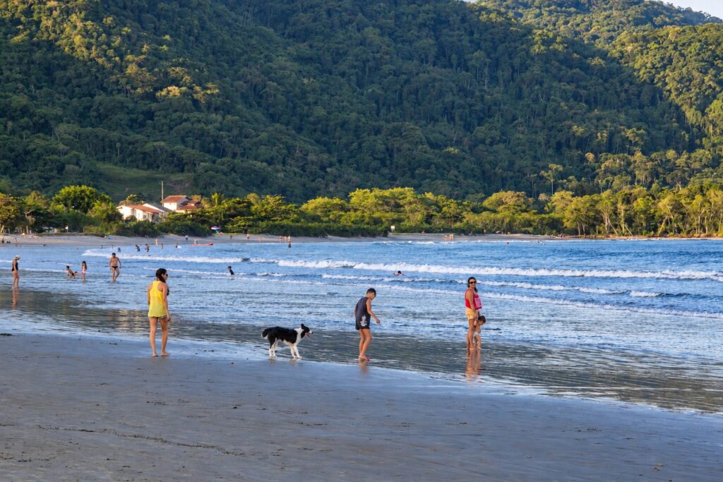 Pessoas e um cachorro caminhando na faixa de areia molhada junto ao mar