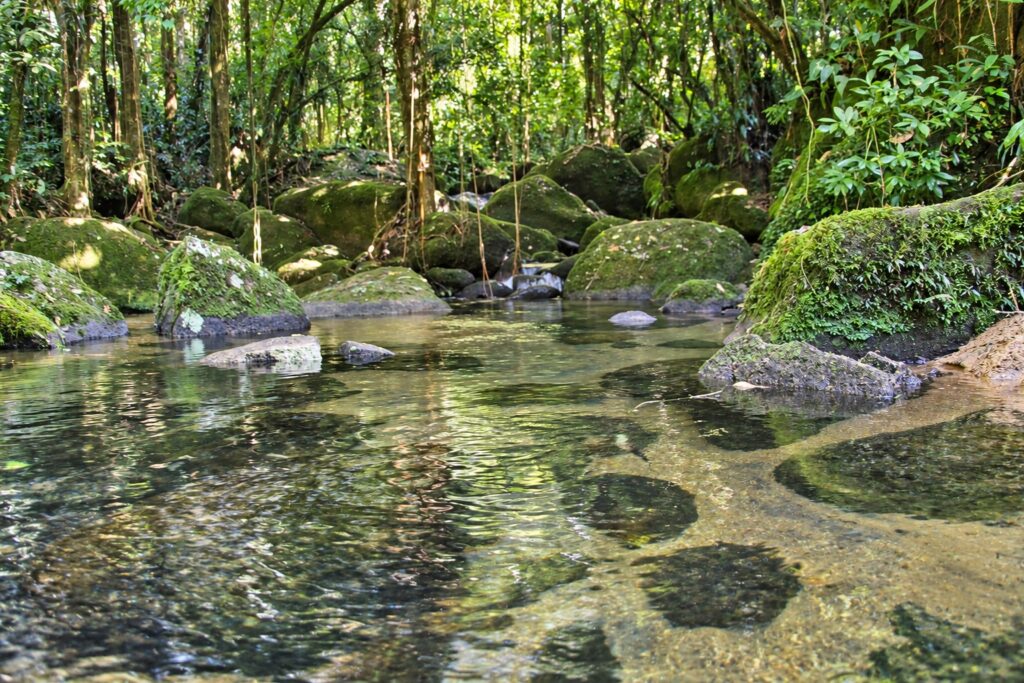 Rio de água transparente cercado por pedras cobertas de musgo em meio à Mata Atlântica de Ubatuba